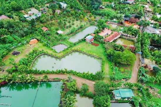 NHÀ VƯỜN HÒA THUẬN
