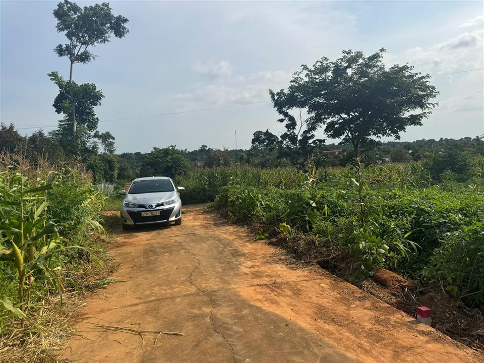 hình ảnh số 1128