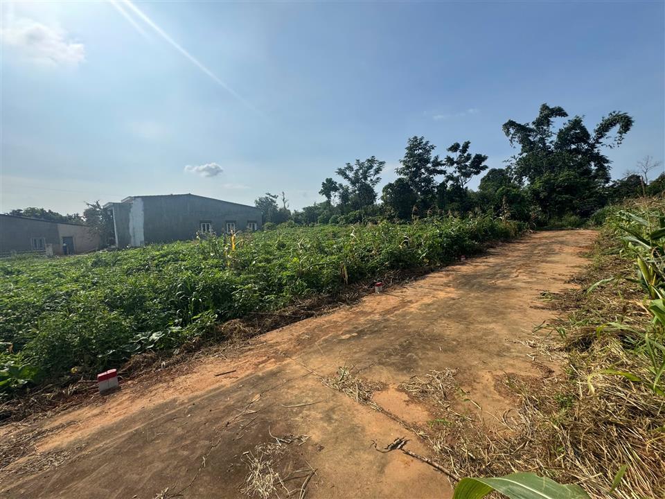 hình ảnh số 1127