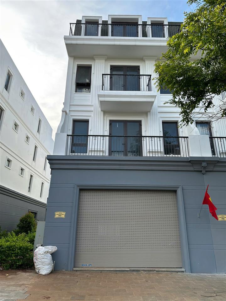hình ảnh số 1101