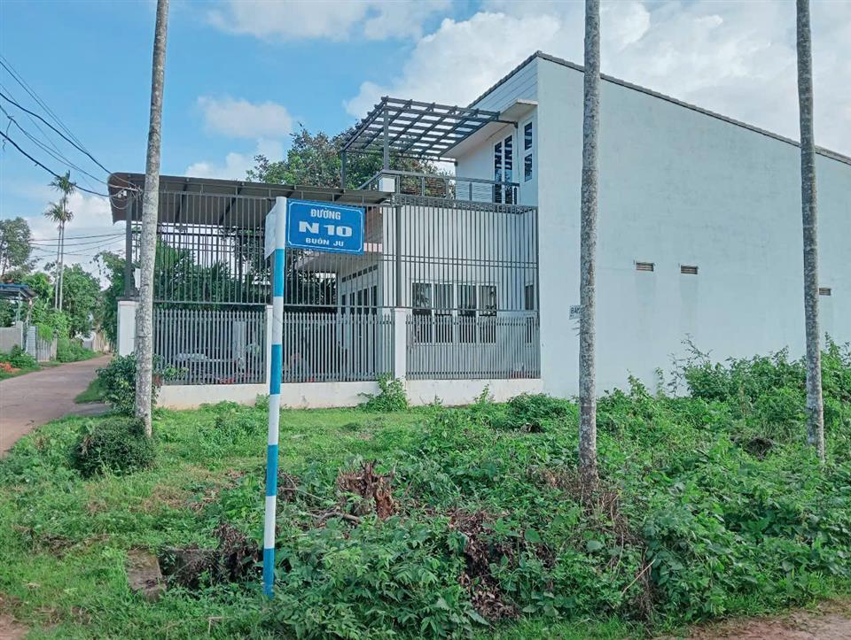 hình ảnh số 1116