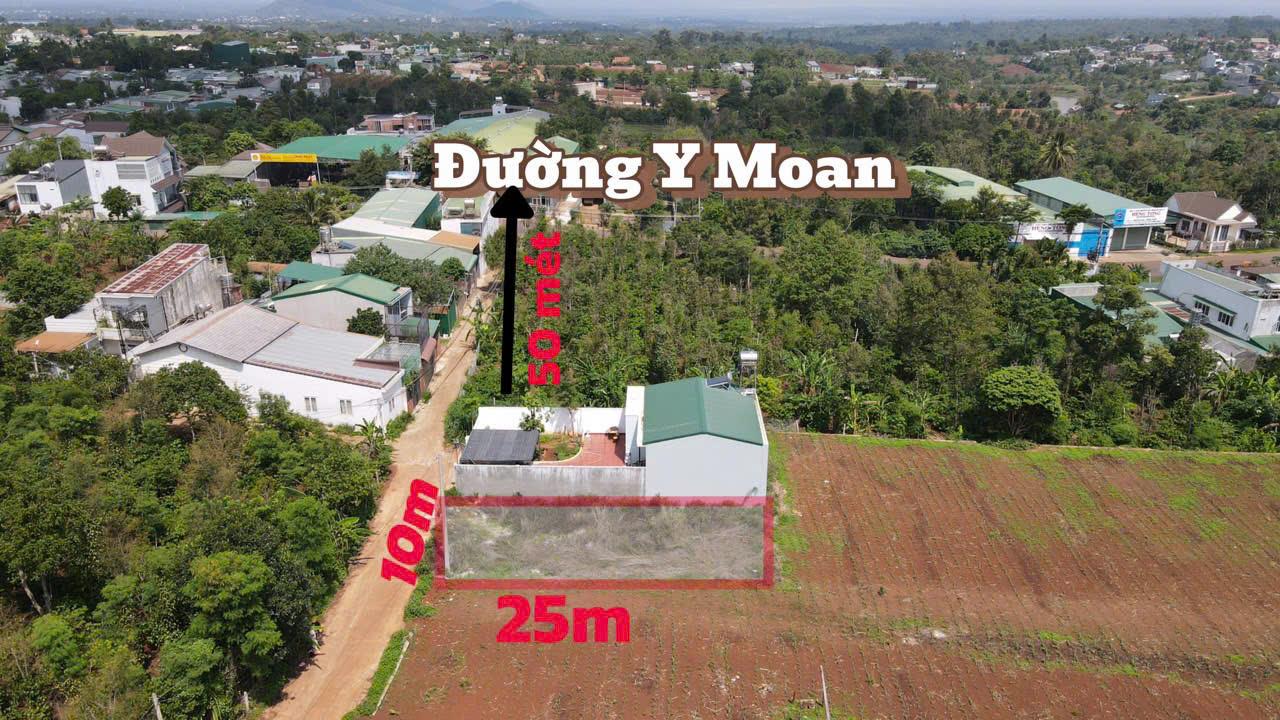 hình ảnh số 1115
